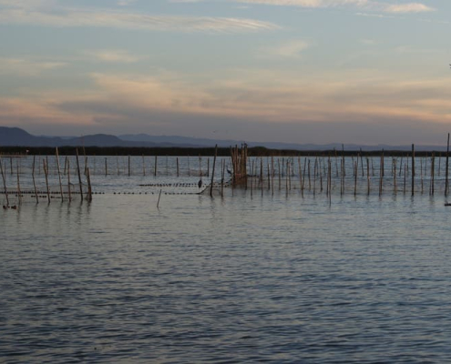 Albufera de Valencia