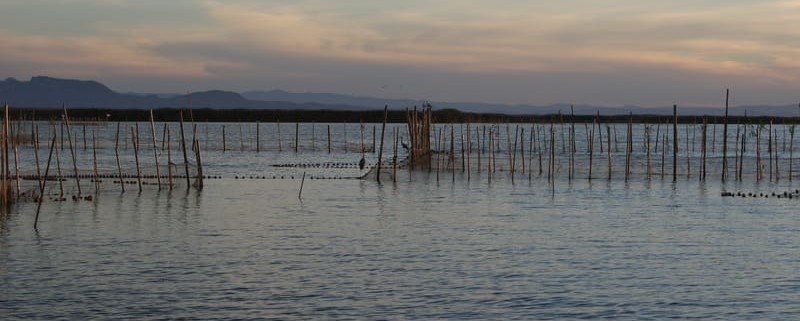 Albufera de Valencia